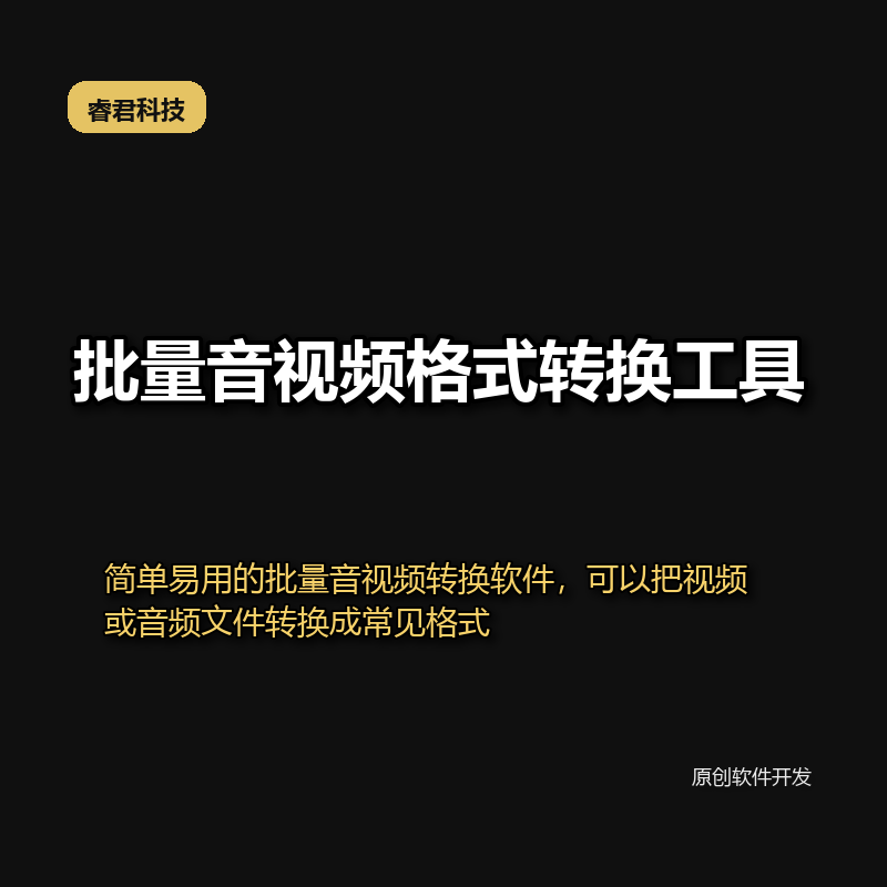 睿君视频音频格式转换工具