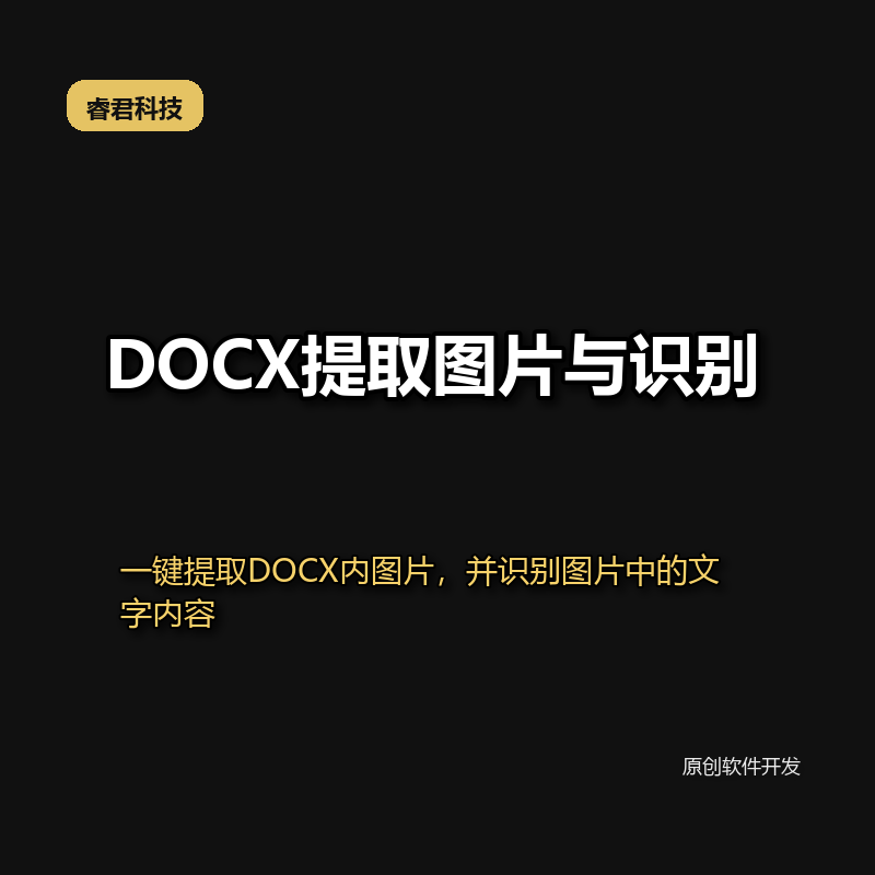 睿君DOCX提取图片与识别