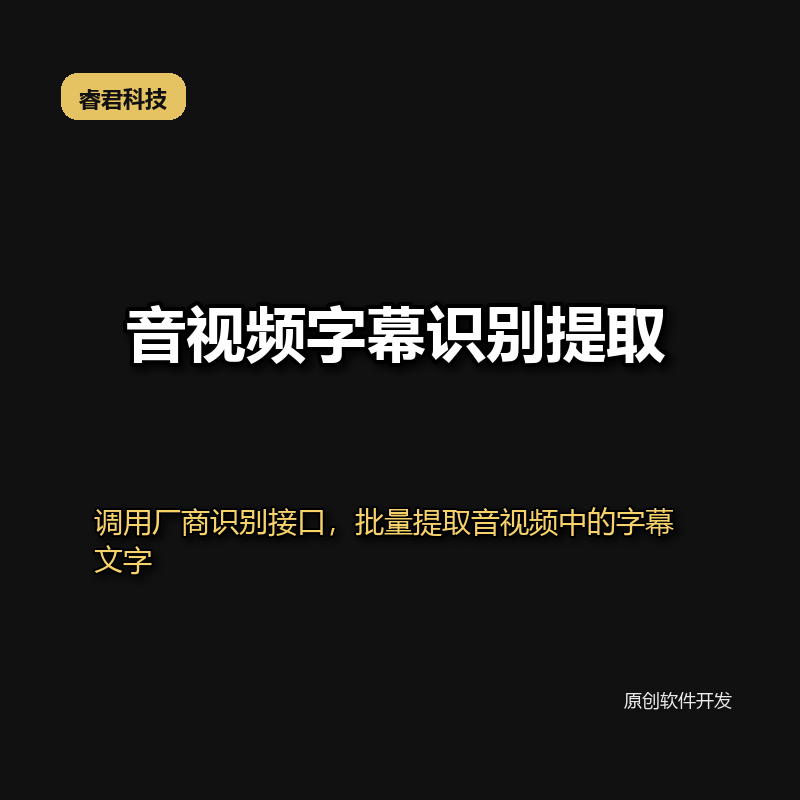 睿君音视频字幕识别提取-厂商版