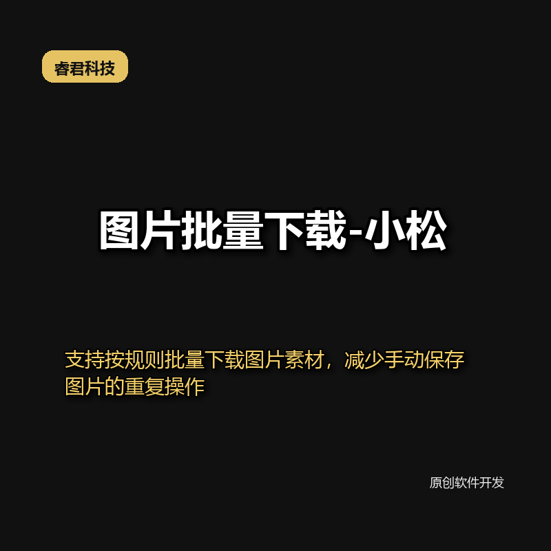 睿君图片批量下载工具