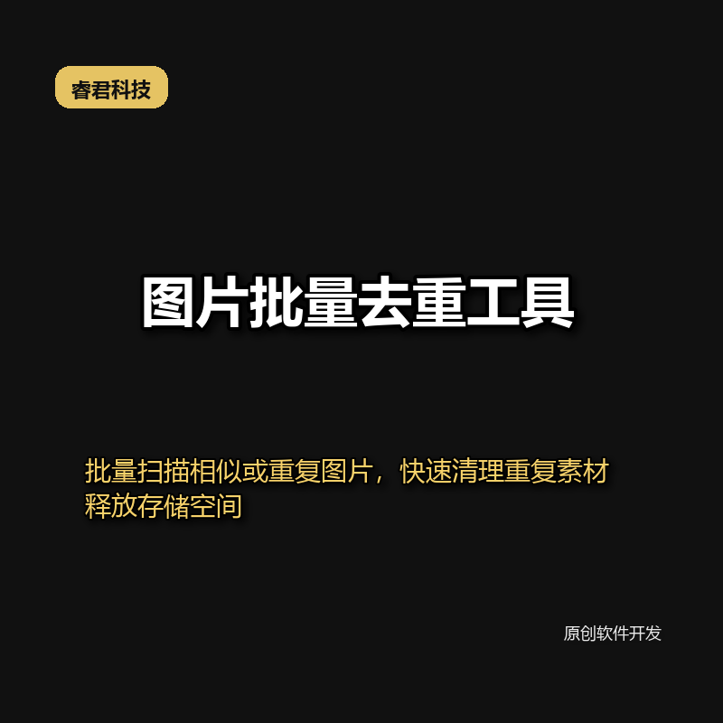 睿君照片整理分类去重工具
