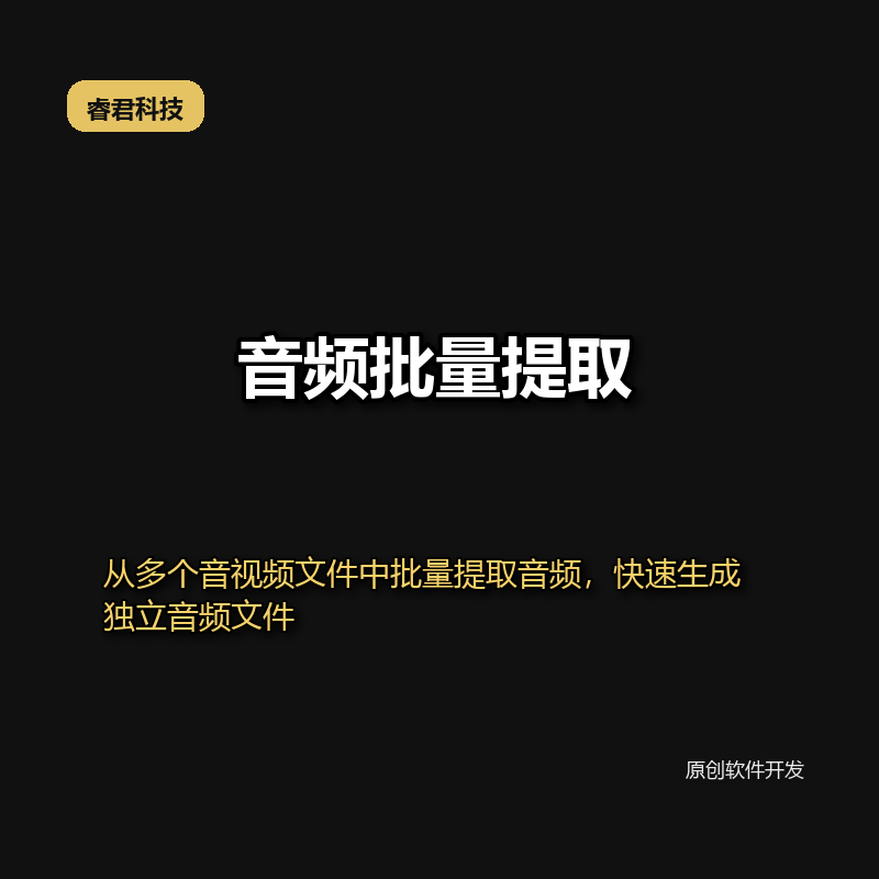 睿君音视频批量提取替换工具