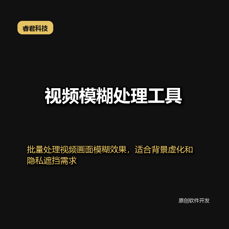 睿君视频模糊处理工具