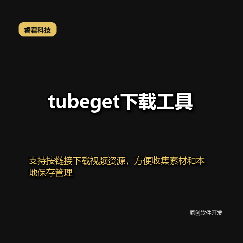 睿君视频批量下载工具