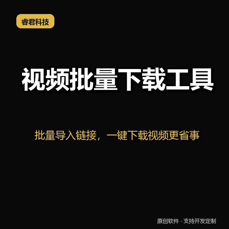 睿君视频批量下载工具