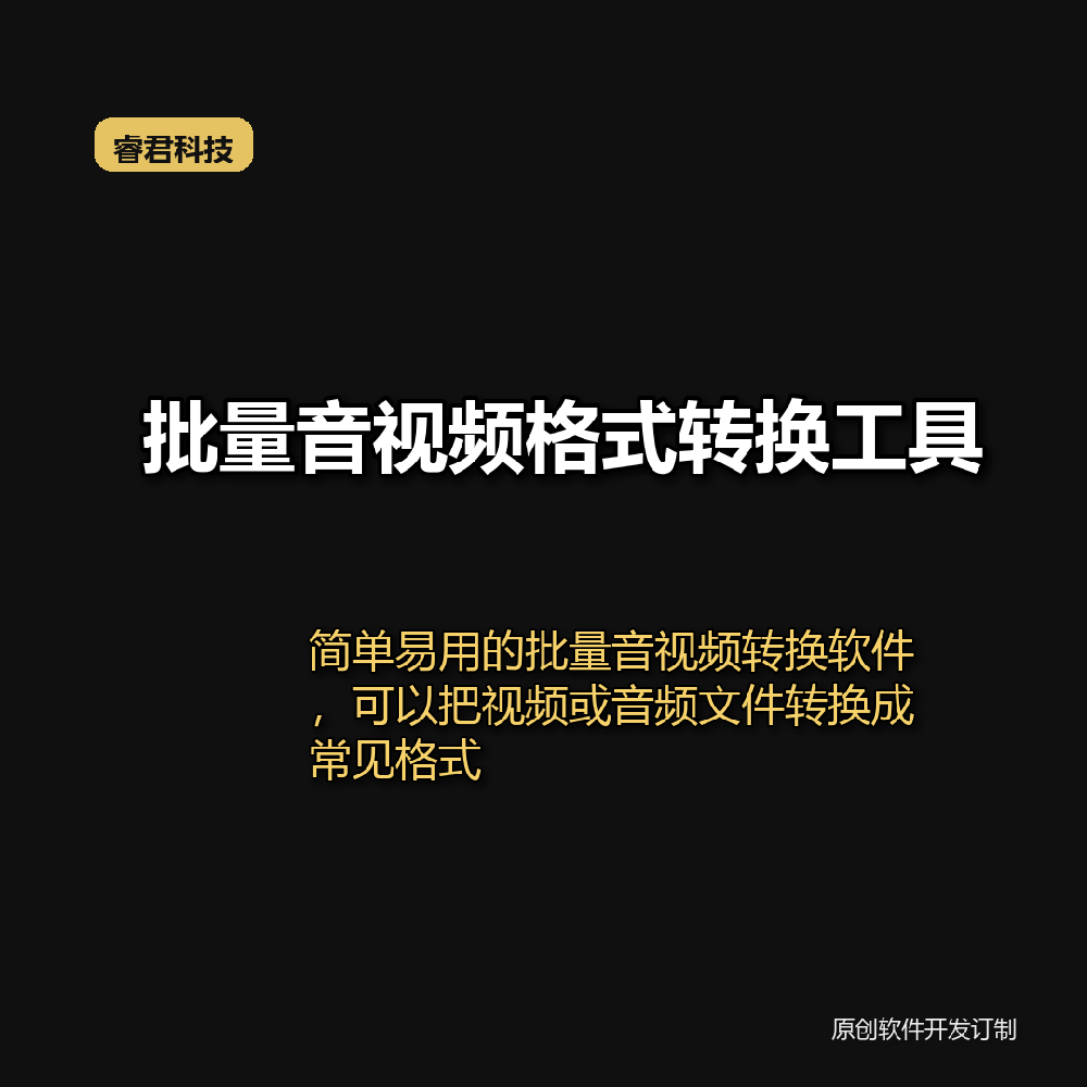 睿君视频音频格式转换工具