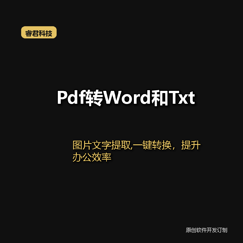 睿君pdf word txt格式互转工具