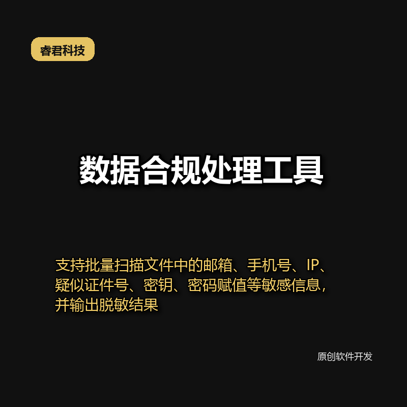 睿君数据合规处理工具